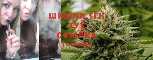 прущая мука Арсеньев