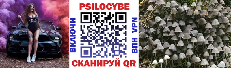 hydra ссылка  Рузаевка  Галлюциногенные грибы GOLDEN TEACHER 